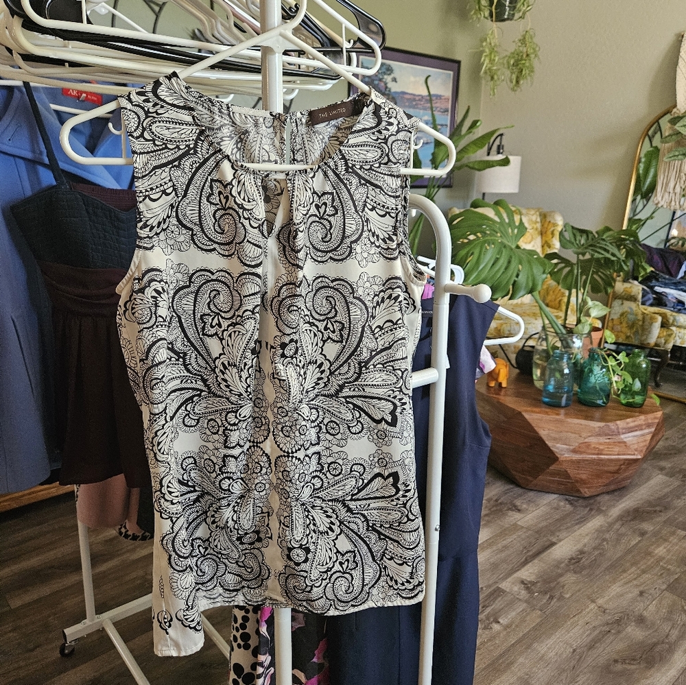 The Limited blouse sm